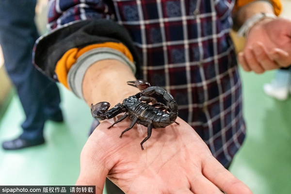 国产激情精品一区二区三区 激情精品咱们多支持好作品海报