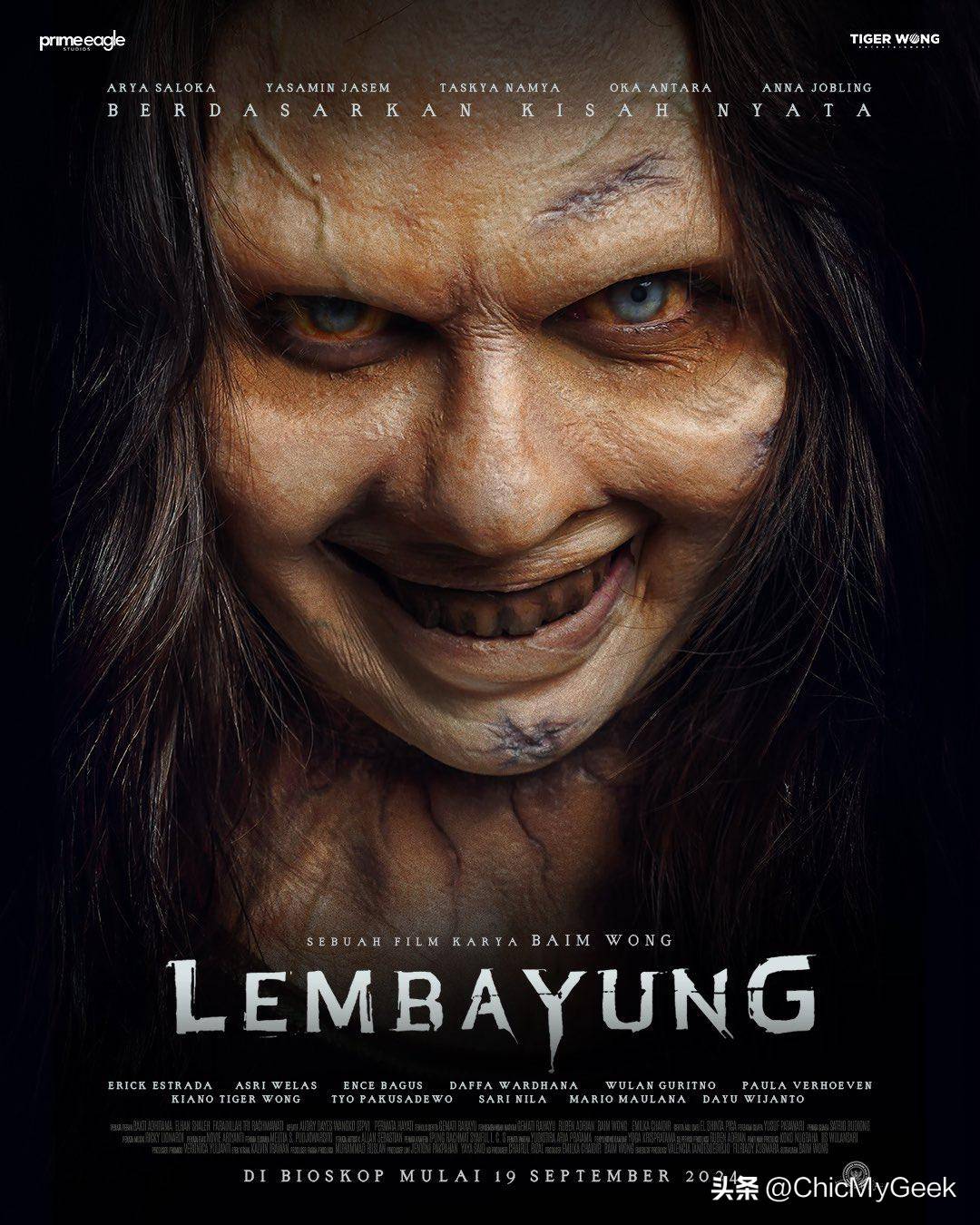 久久亚洲国产精品亚洲老地址海报