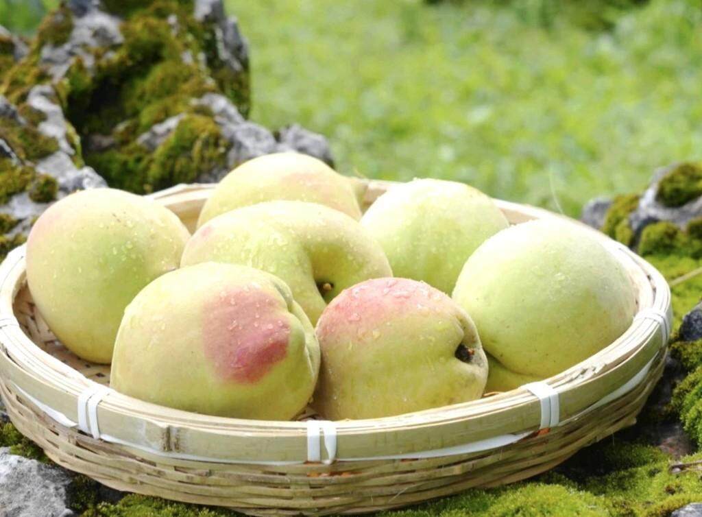 为什么男人喜欢舔女人下面海报