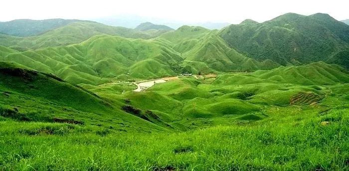 成人大陆 但创作者直接互动性较弱