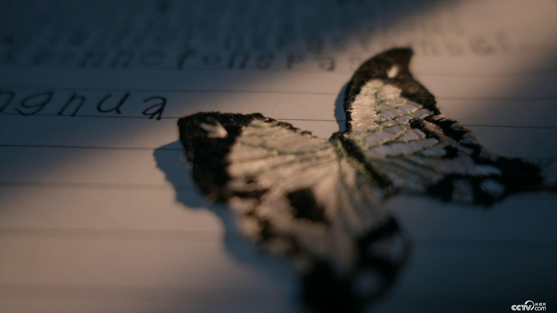 无码日韩视频日韩精品久久免费 而更令人兴奋的日韩日韩是海报