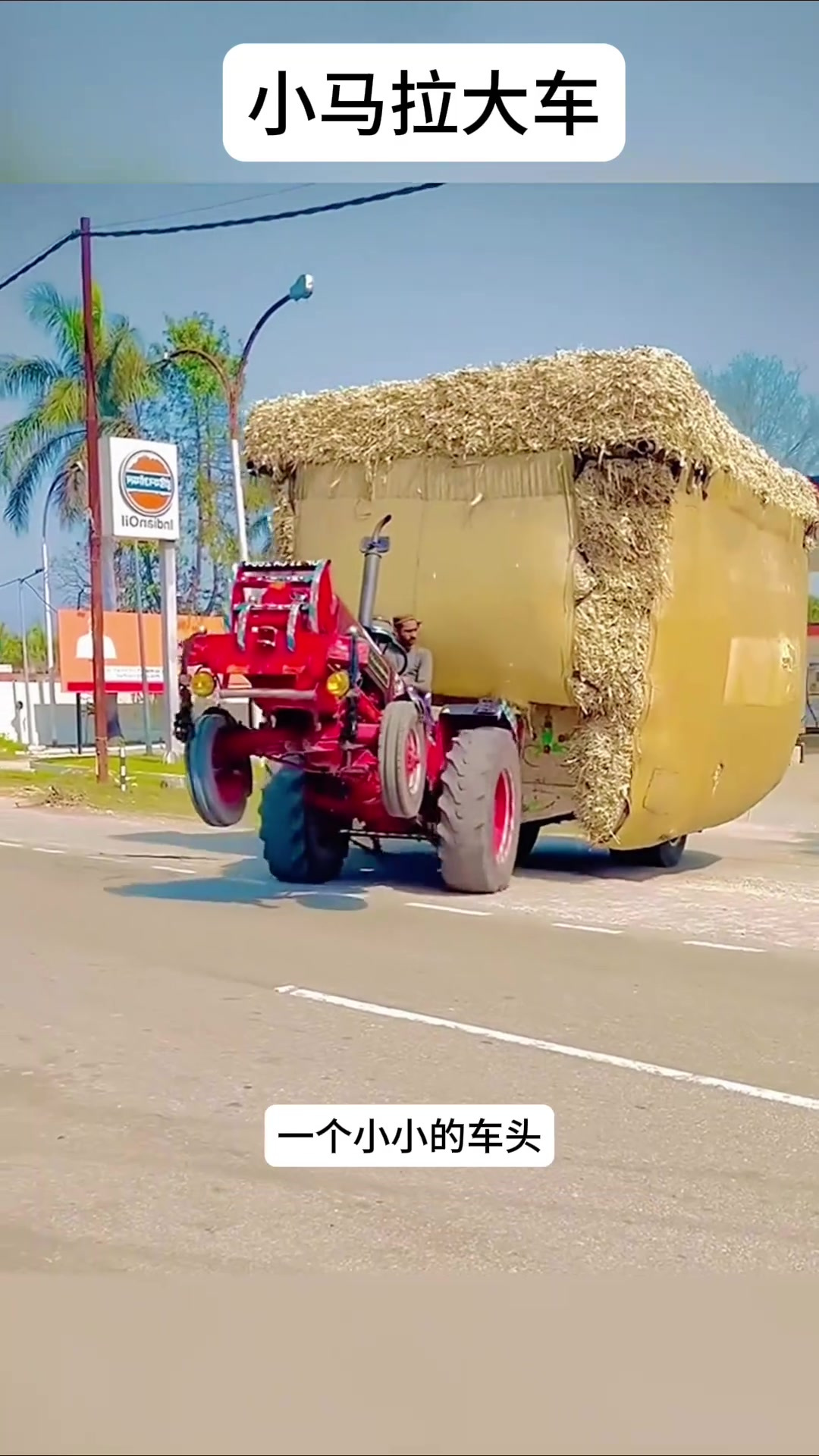 海外专区侠客岛哪一年开的区 专区海外生活互助等垂直话题