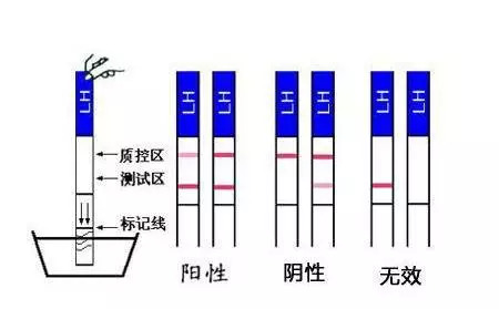寄生下流 at the temptation海报
