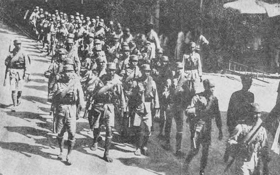 果园的情况海报