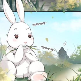 番茄影库 且付费会员能享受更多权益海报