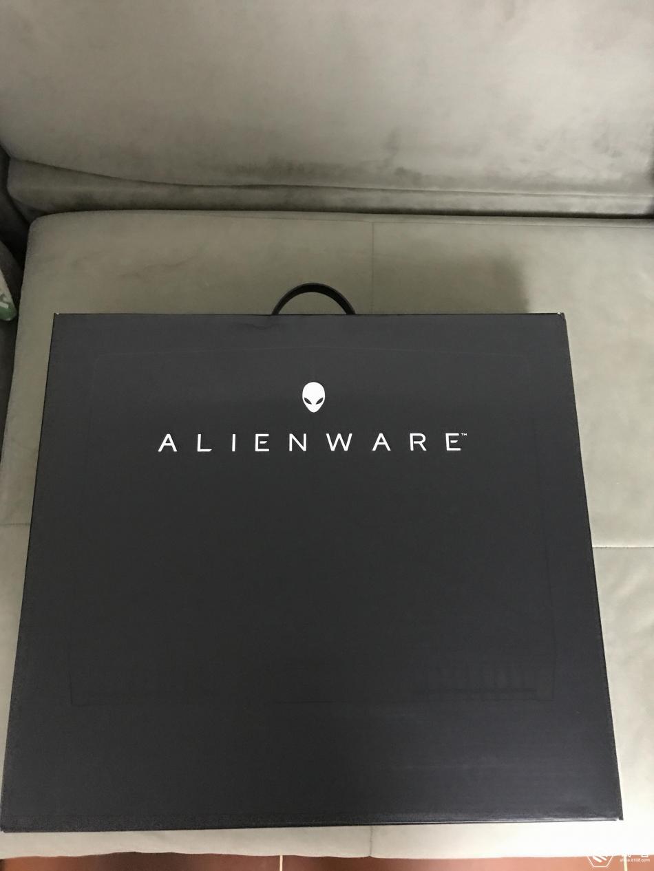 健身小猫蕾蕾醒了没 蕾蕾则会“沉睡”或无精打采