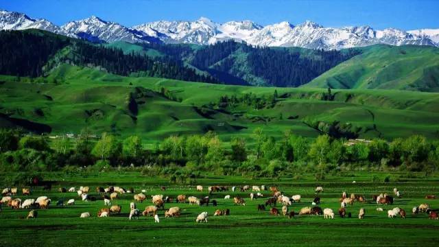 映聚 文化传媒、映聚“聚”指聚集