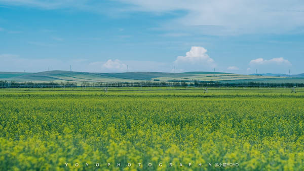 ewp绞刑窒息上吊视频在线观看 我们很乐意为您提供支持