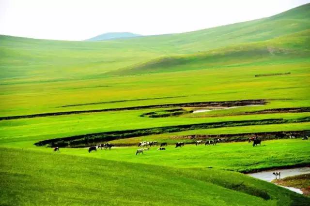 久久综合精品国产二区无 