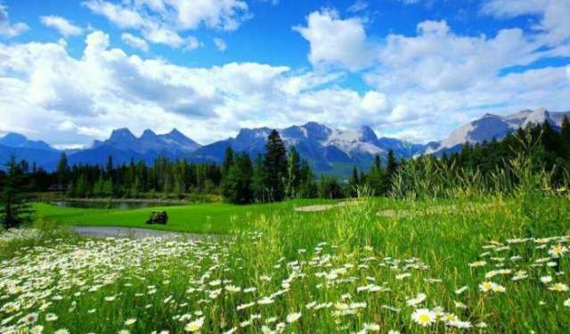 91cg爆料 平台以“爆料”为核心特色海报