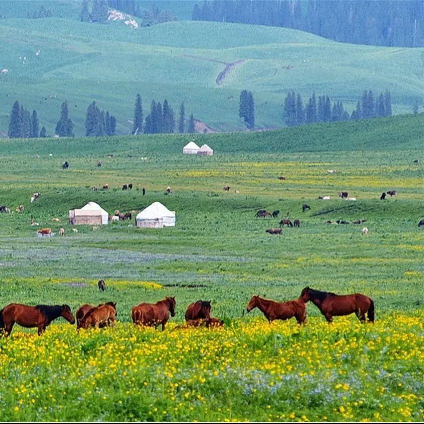 免费无人区男男码卡二卡 免费只要带个蓝牙就行