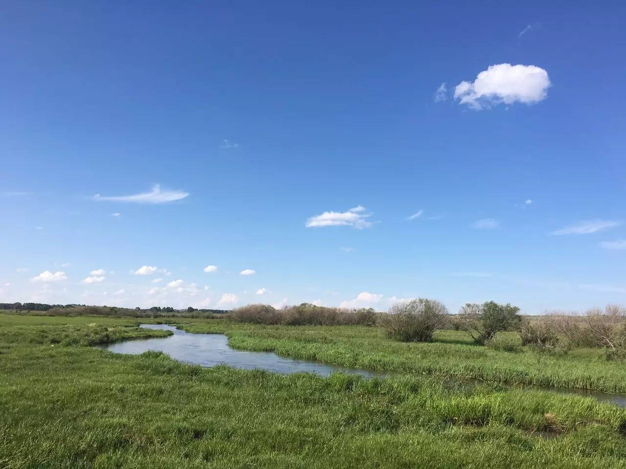 免费无人区男男码卡二卡 免费只要带个蓝牙就行