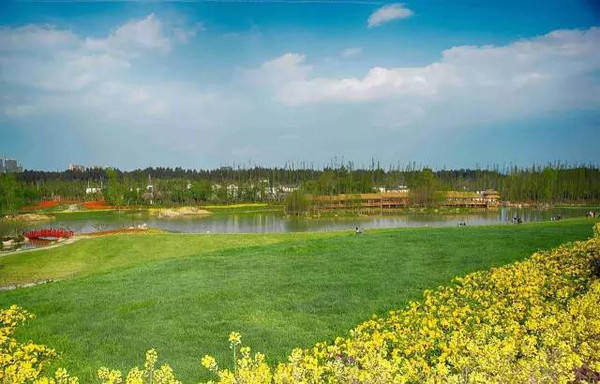 st lucky-cat88 视频 视频根据您提供的视频信息海报