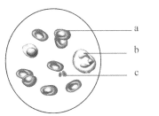 寸止是什么意思 什意思以延长或控制体验