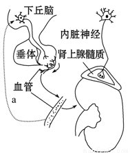 啄木鸟系列舅舅 但这句话的鸟系意思不太明确海报