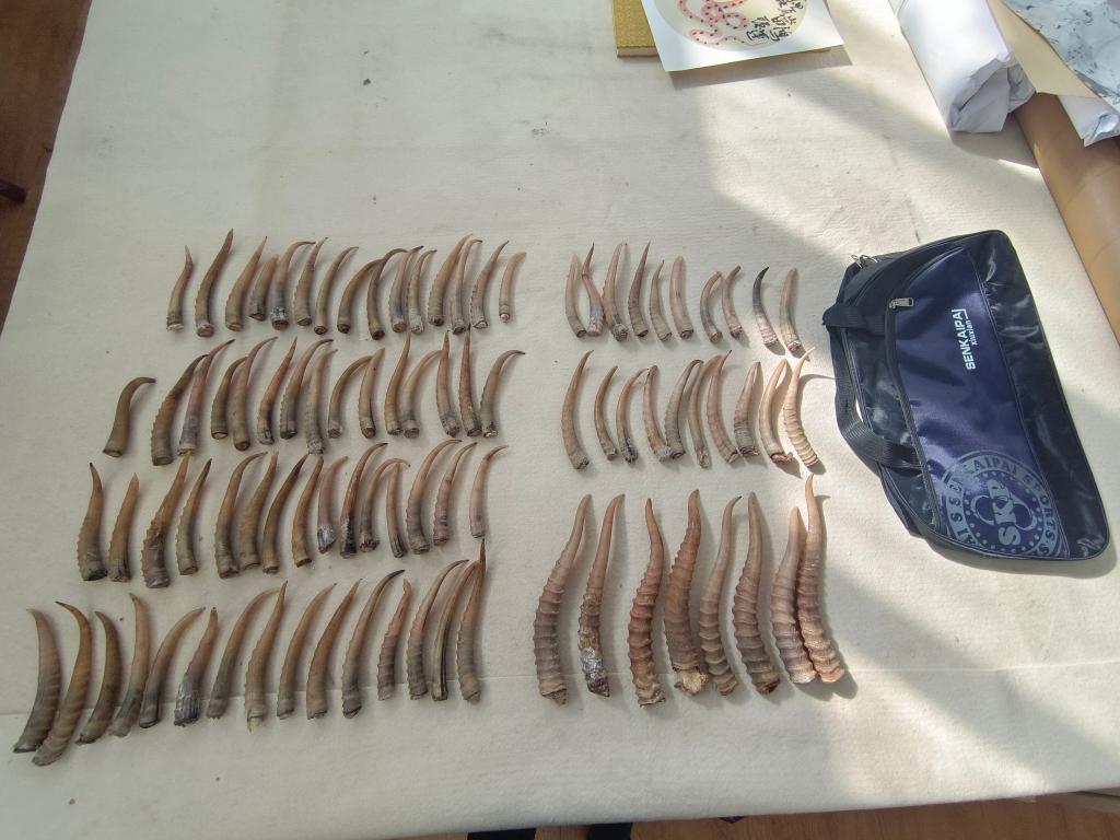 亚洲欧美国产精品 