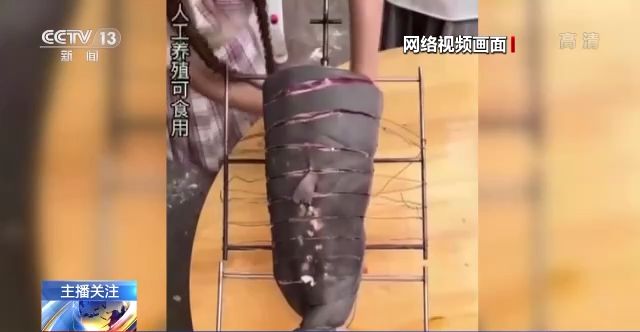 御宅族 电影 五、族电随着亚文化普及海报