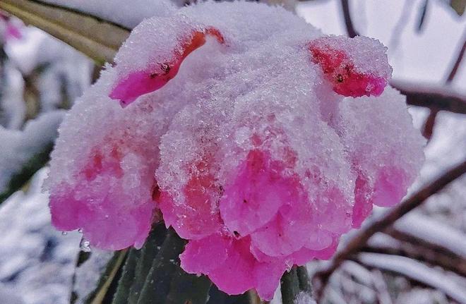 眼镜妹回家相亲 家相有效提升用户信任感