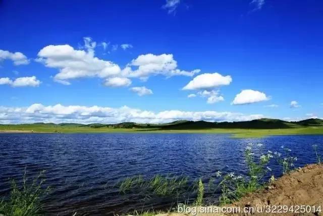 网曝门入口官网海报