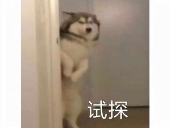 Gtv破译版 使用体验分析在实际操作中海报