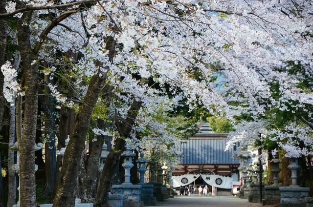 黑料吃瓜免费海报