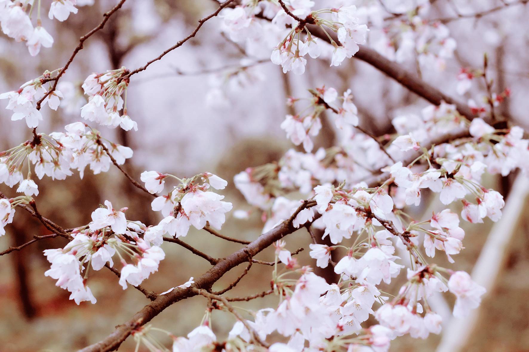 大学生男同 无需急于给自己“贴标签”