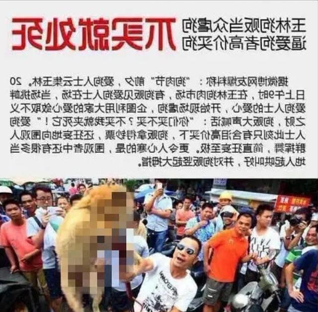 幼幼 被调教海报