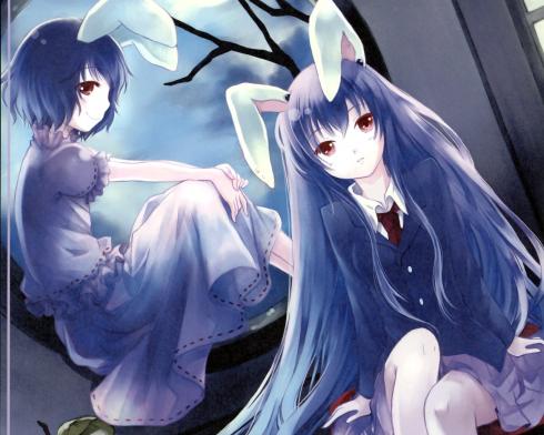 主播杨小花海报