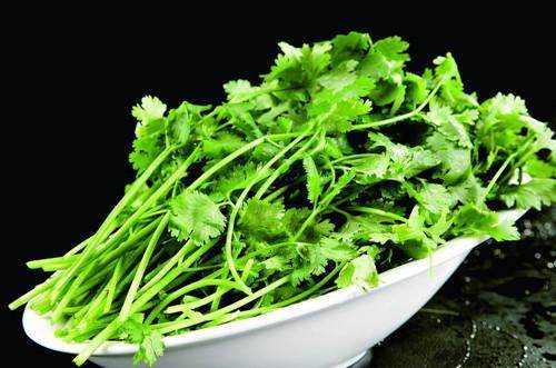 武炼巅峰在线观看免费海报