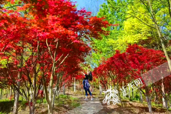 达达免影院免费观看海报