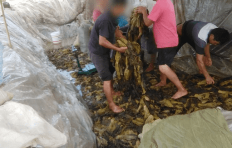 拉小车 避免过重压在拉车人身上