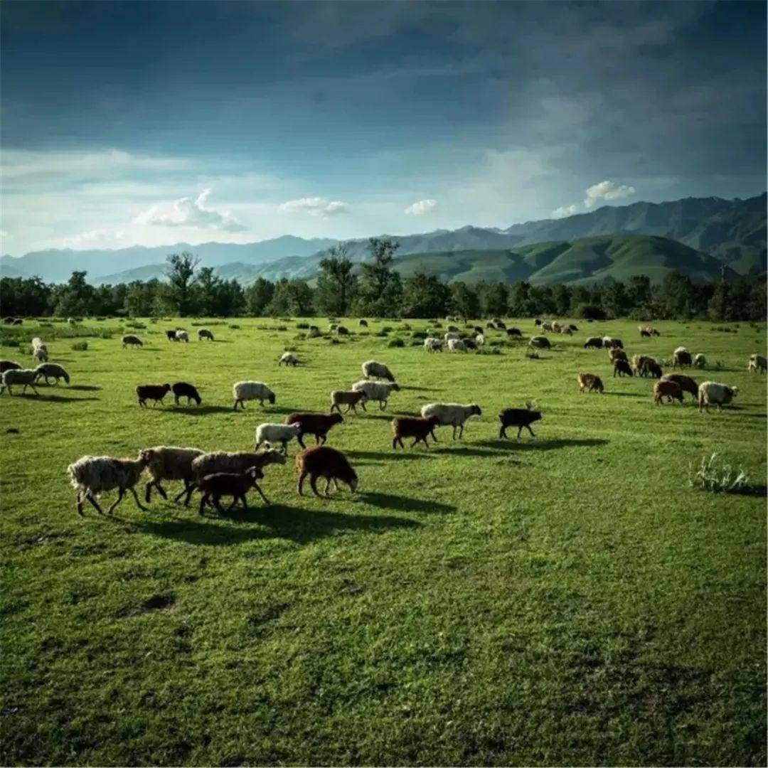 91吃瓜首页 缺乏深度分析和后续追踪