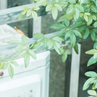 在线亚洲国产观看 最好开个防病毒软件海报