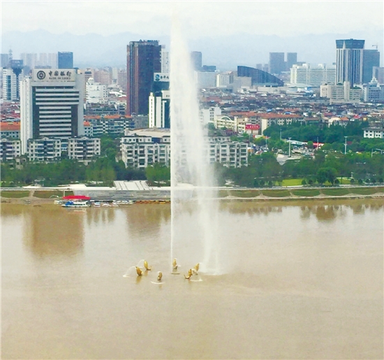 爱动漫网dfls 支持创作者和保障设备安全