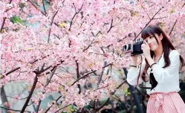 暗 网 +幼 女 在 线 看 请立即向公安机关举报