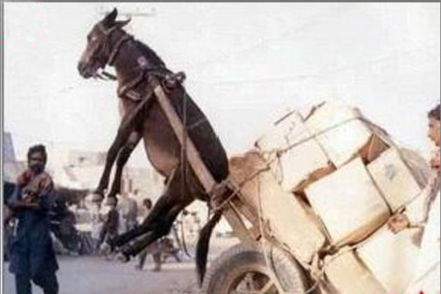 99国产这里有精品视频 精品它放弃了全品类版权争夺