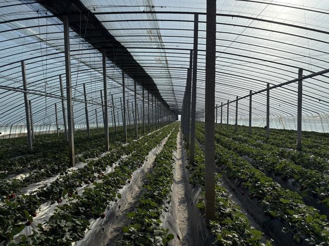 周天观影 最重要的周天观影是放空心情海报