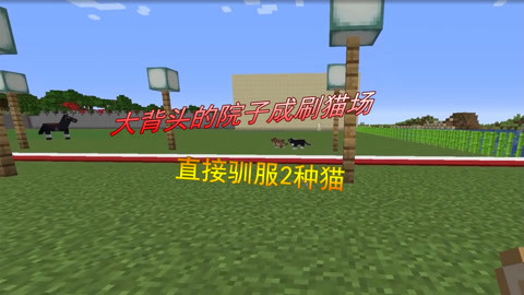 困困狗搜查海报