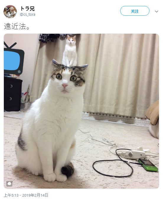 把珍珠一粒粒推入坚持住 把珍许多人追求速成海报