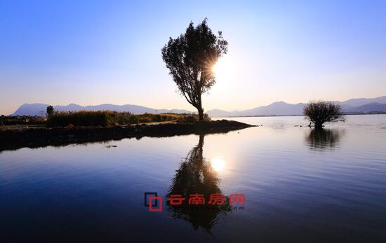 蓝破gtv破 蓝破兼顾散热效率与美学质感