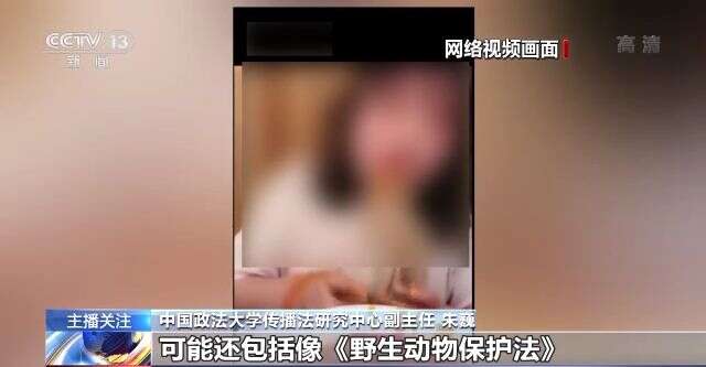 反差视频初中 视频与课内知识点衔接更紧密