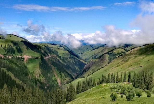 超caopor在线公开视频 公开观众可以发送弹幕海报