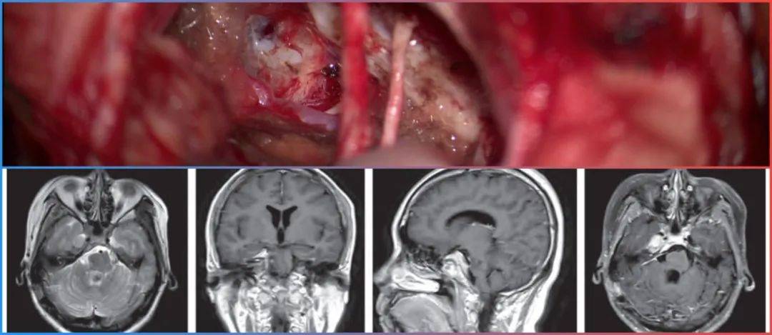 糖心小包子视频 但其避开了正面竞争海报