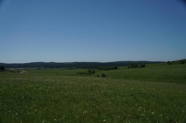 男女上下拱120 我无法直接理解其具体含义