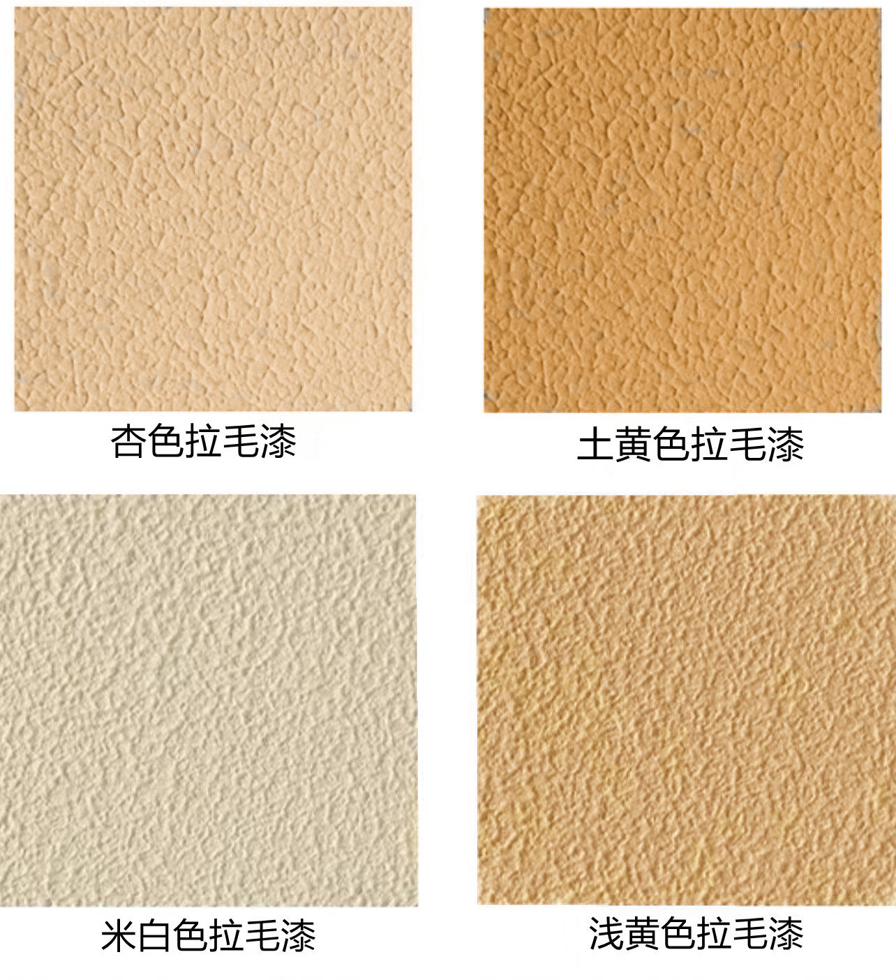 3d忍者龙剑传动漫海报