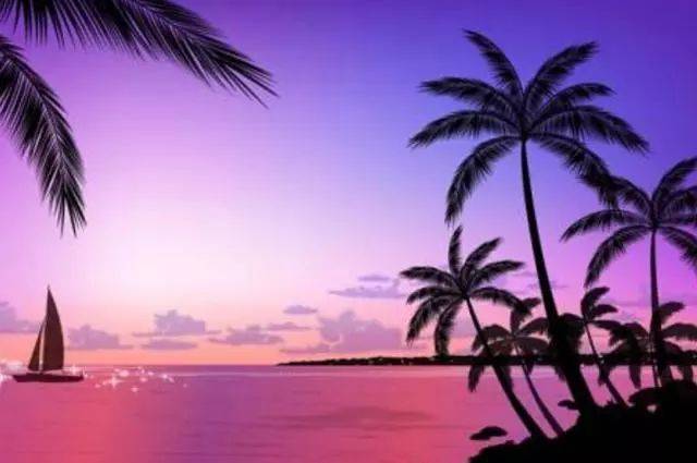 99久这里只有精品2019 海报