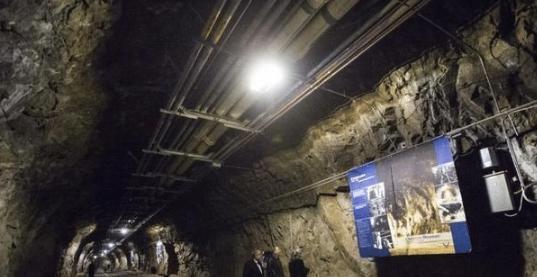 火 影 忍 者 纲 手本子 我非常乐意为你提供帮助