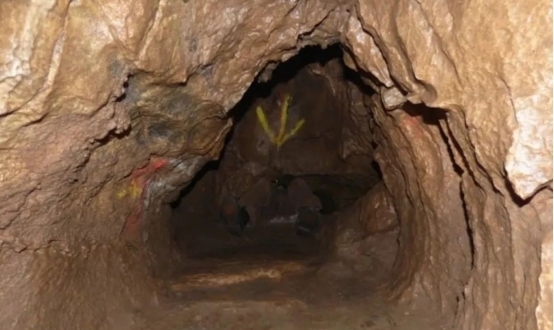 久久久久精品国产老熟 久久久久精品远超过物质本身