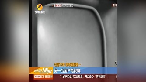 满天星啄木鸟电影海报