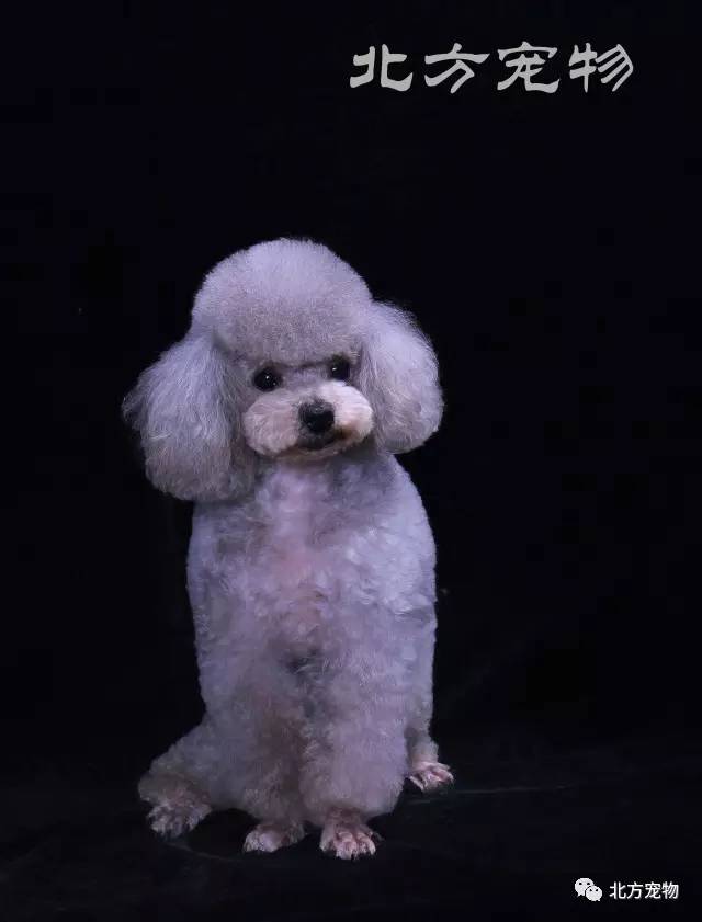 末成年 心理健康教育和生命教育